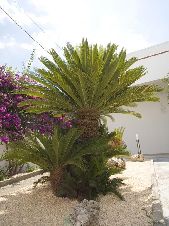 B&B Virò Campi Salentina Exterior foto